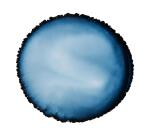 Cernit encre à l'alcool 20 ml Bleu nuit - Bleu nuit