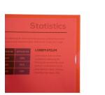 Bolsa de 100 Dossiers con uñero A4 12/100e Polipropileno piel de naranja