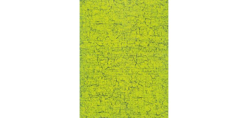 Pochette 3 Feuilles Identiques Ref 301 - Vert