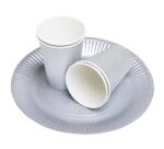 Platos de cartón sin plástico - Ø 23 cm - Festivo - Plata