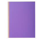 Pack of 10 expanding spine folders ROCK'S 320gsm - 24x32cm.