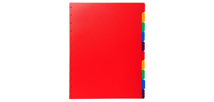 Intercalaires polypropylènes couleurs 10 positions pour porte-vues à anneaux - Couleurs assorties