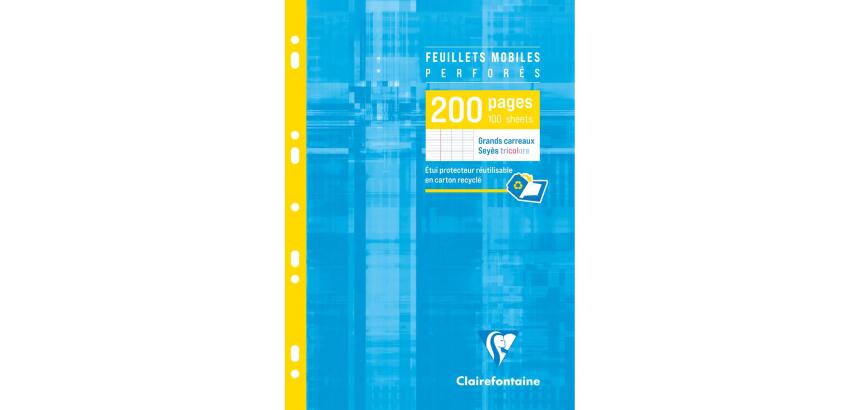Feuillets mobiles sous étui A4 200 pages perforées grands carreaux