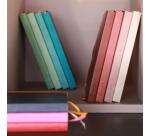 Rhodiarama Goalbook couverture souple A5 240 pages dot papier blanc 90 g