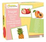 Imagier, Fruits - Multicolore