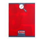 Cahier d'écriture piqué 8000 CARTE 17x22 cm 32 pages double ligne 2 mm + interligne verticale 90 g - Assortis