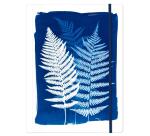 Cyanotype, Chemise à élastique 24x32cm