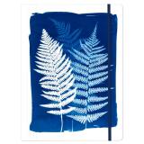 Cyanotype, Chemise à élastique 24x32cm