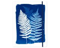 Cyanotype, Chemise à élastique 24x32cm