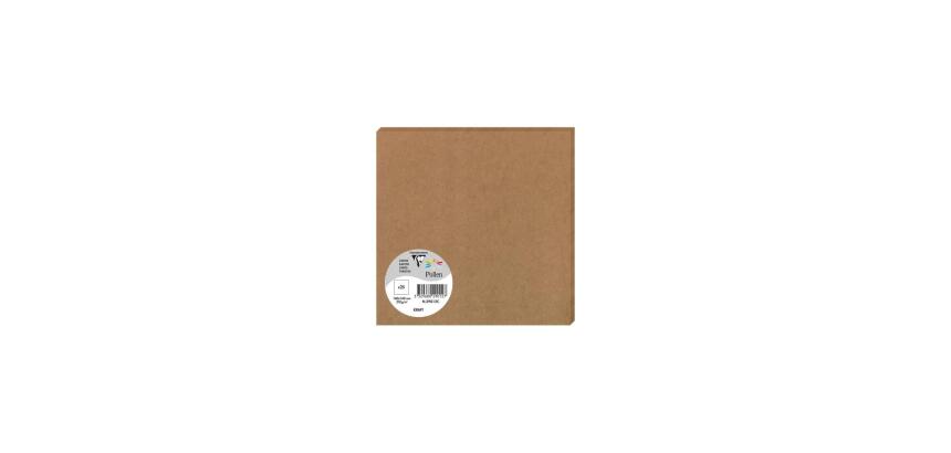 Paquet de 25 cartes simples Pollen 160x160mm 210g/m2
