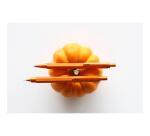 Rhodia scRipt stylo à bille 0,7 mm - Orange