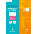 Cahier piqué spécial déficients visuels 24x32 cm 96 pages grands carreaux 2,5mm agrandis 10x10 - Assortis