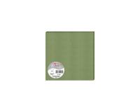 Paquet de 25 cartes simples Pollen 160x160 210g/m2 - Vert sauge