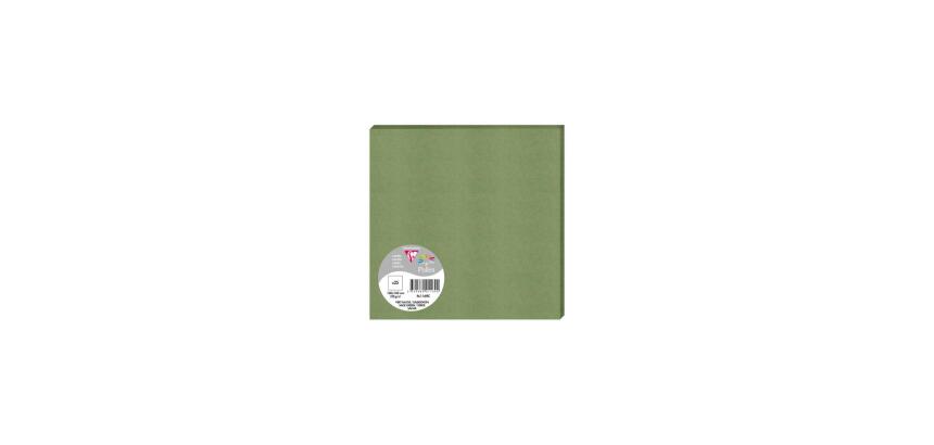Pak 25 enkelvoudige kaarten Pollen 160x160 210gm2