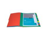 File Harmonika Multi Fle A4 425g 24P