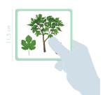 Imagier, Arbres - Multicolore