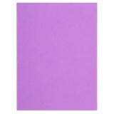 Paquet de 100 chemises FLASH 220 100% recyclé - 24x32cm
