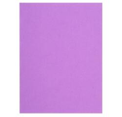 Paquet de 100 chemises FLASH 220 100% recyclé - 24x32cm