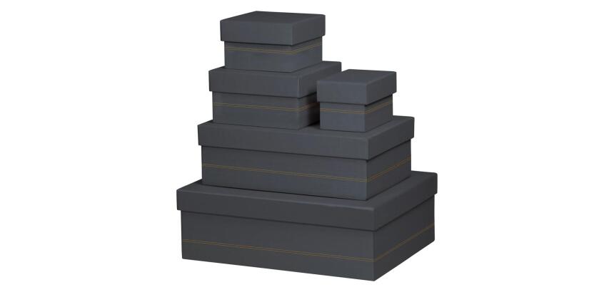 Rhodiarama set 5 boîtes gigognes simili cuir italien 44x34x16 cm - Titane