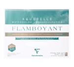 Flamboyant bloc collé 4 côtés 20F 31x41cm 300g