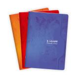 Cahier piqué 7000 A4 192 pages grands carreaux 70 g - Assortis