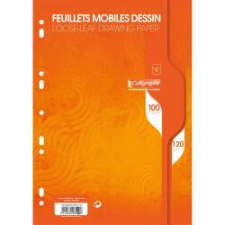 Feuillets mobiles dessin scolaire sous film 7000 A4 100 pages perforées uni 120g