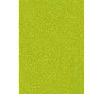 Mix & Patch - Royal Botanic garden - Assortiment