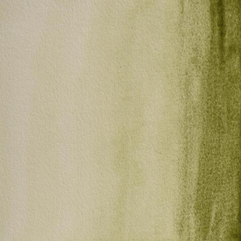 Aquarelle extra-fine godet géant - Terre verte