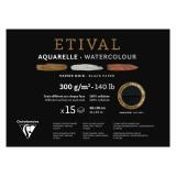 Etival Noir bloc collé 1 côté 15F 28x38cm 300g double grain
