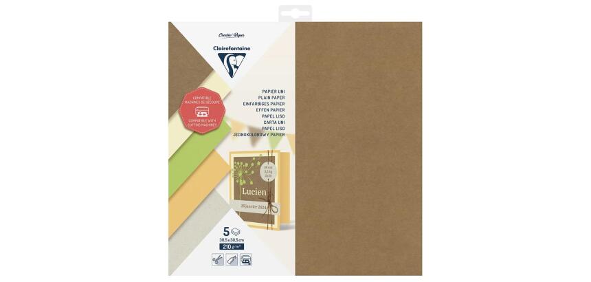 PAPIER UNI, Pochette de 5 feuilles 210g/m2 au format 30.5x30.5cm - Assortiment
