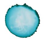 Cernit encre à l'alcool 20 ml bleu Turquoise - Bleu turquoise