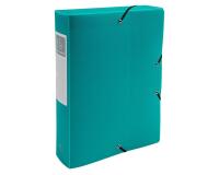Exabox Opak PP Filing Box 60mm Spine A4.
