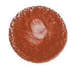 Cernit encre à l'alcool 20 ml Cuivre - Cuivre