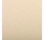 Ingres Pastel paquet 25F 50x65cm 130g