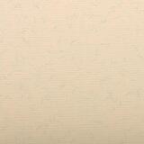 Ingres Pastel paquet 25F 50x65cm 130g