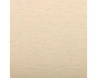 Ingres Pastel paquet 25F 50x65cm 130g