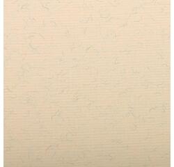 Ingres Pastel paquet 25F 50x65cm 130g
