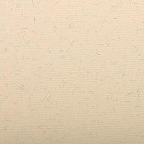 Ingres Pastel paquet 25F 50x65cm 130g