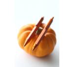 Rhodia scRipt portemine 0,5 mm - Orange