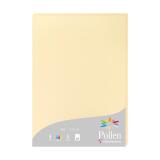 Etui de 25 feuilles Pollen 210x297 210g/m2