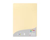 Etui de 25 feuilles Pollen 210x297 210g/m2 - Chamois