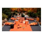 Kartonnen bord rond 230 mm zwart - 20 stuks