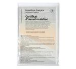 Etui de protection pour papiers voiture PVC lisse 20/100e - Cristal