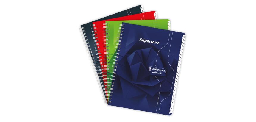 Répertoire reliure intégrale 7000 17x22 cm 180 pages petits carreaux 70 g - Assortis