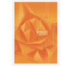 Cahier brochure rembordée rigide 7000 A4 192 pages grands carreaux 70 g - Assortis