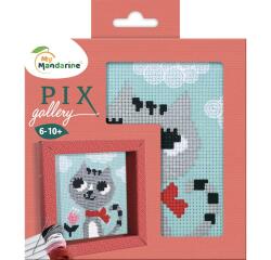 Pix Gallery, Chat - Bleu