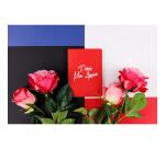 Moulin Rouge, Carnet brochure souple A6 10,5x14,8 cm, 128 pages, uni, ass.