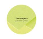 Carton de 200 enveloppes Pollen 229x324mm 120g/m² - Vert bourgeon