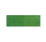 HD classique 125ml Fougère - Fougère