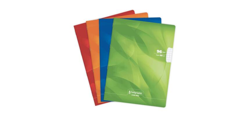 Cahier piqué 8000 CARTE 24x32 cm 96 pages grands carreaux 90 g - Assortis